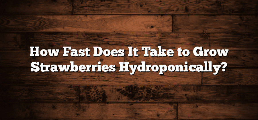 How Fast Does It Take to Grow Strawberries Hydroponically?