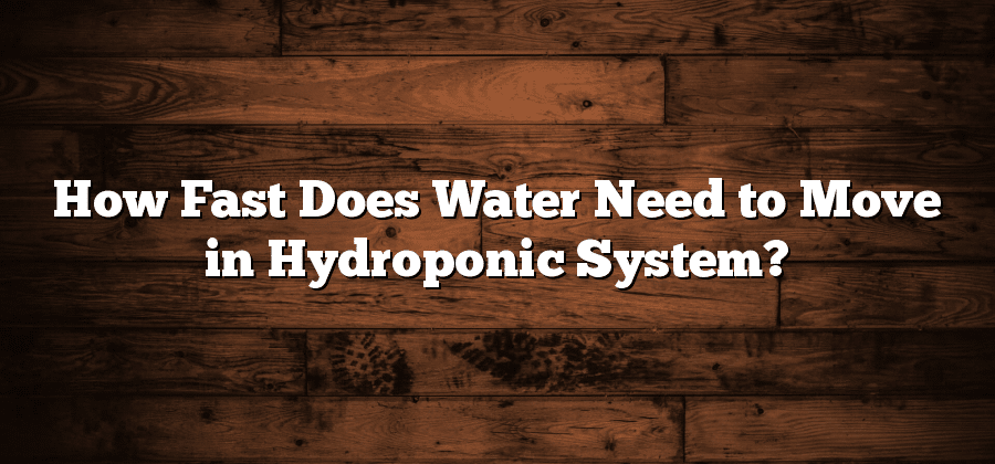 How Fast Does Water Need to Move in Hydroponic System?