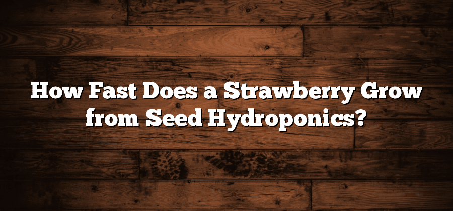 How Fast Does a Strawberry Grow from Seed Hydroponics?