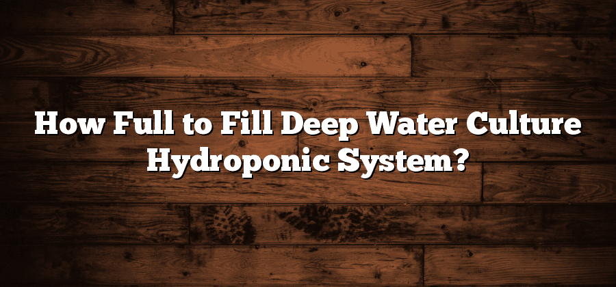 How Full to Fill Deep Water Culture Hydroponic System?