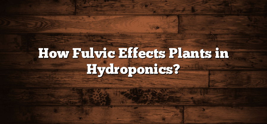 How Fulvic Effects Plants in Hydroponics?