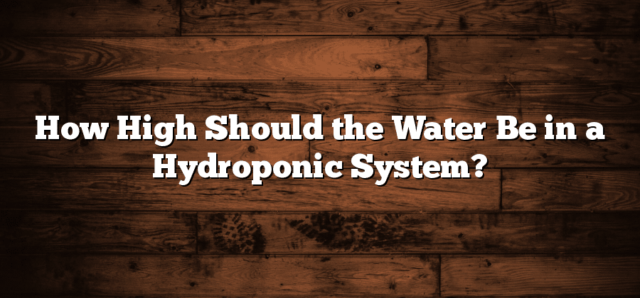 How High Should the Water Be in a Hydroponic System?