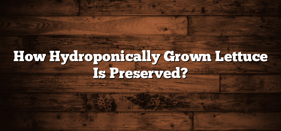 How Hydroponically Grown Lettuce Is Preserved?
