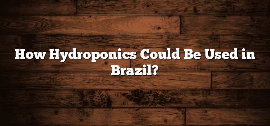 How Hydroponics Could Be Used in Brazil?
