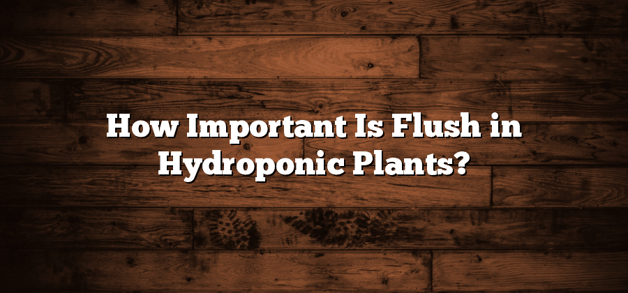 How Important Is Flush in Hydroponic Plants?