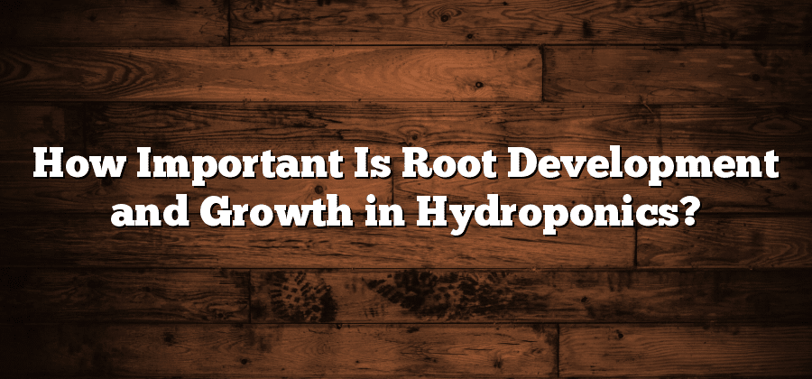 How Important Is Root Development and Growth in Hydroponics?