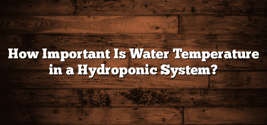 How Important Is Water Temperature in a Hydroponic System?