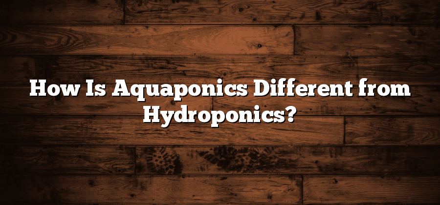 How Is Aquaponics Different from Hydroponics?