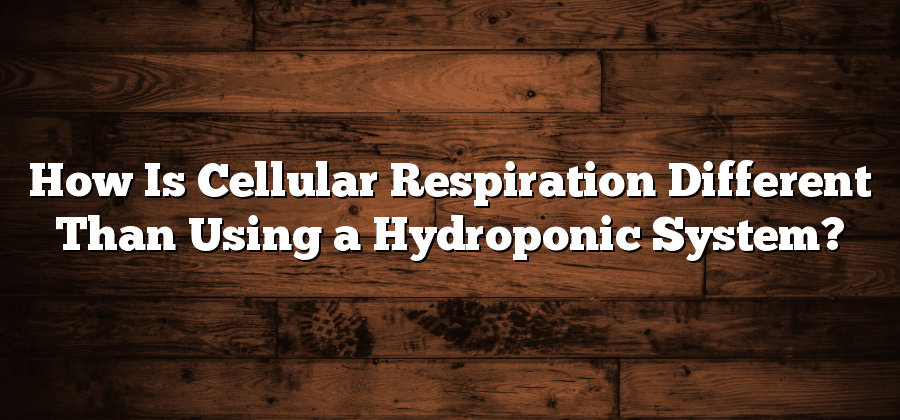 How Is Cellular Respiration Different Than Using a Hydroponic System?