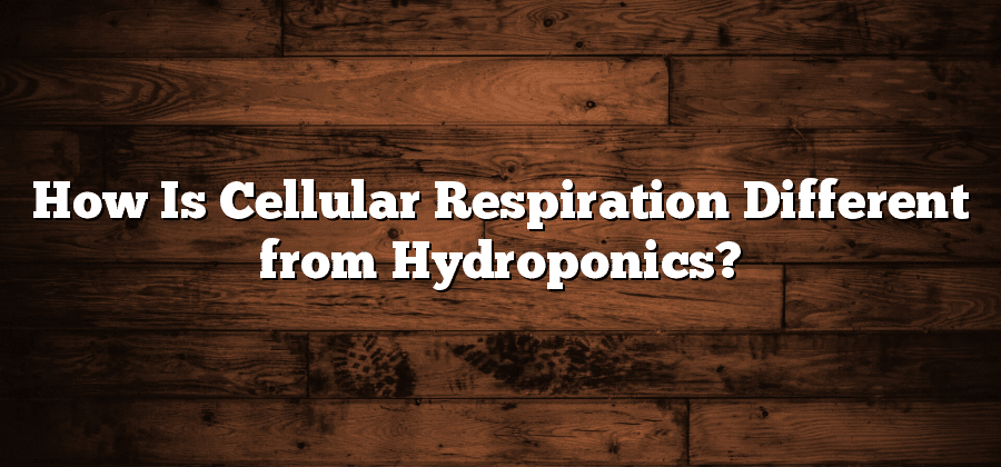How Is Cellular Respiration Different from Hydroponics?