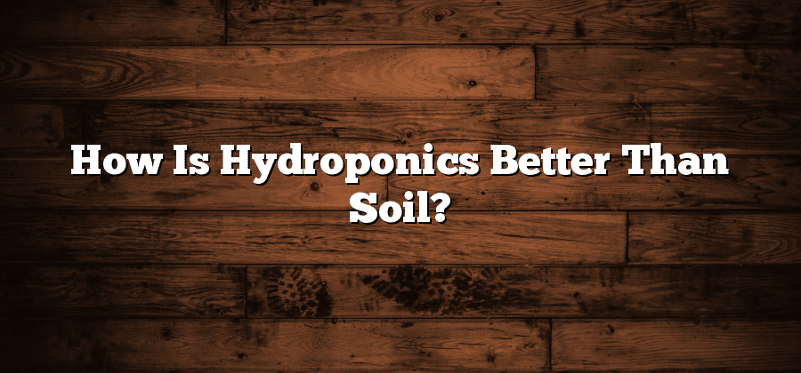 How Is Hydroponics Better Than Soil?