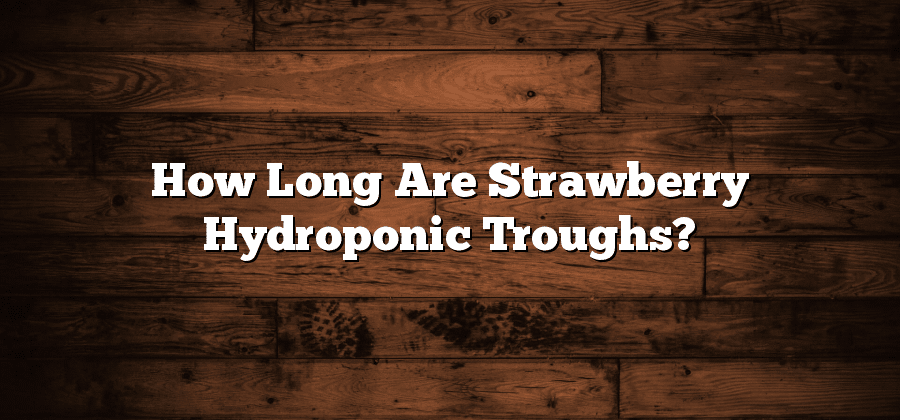 How Long Are Strawberry Hydroponic Troughs?