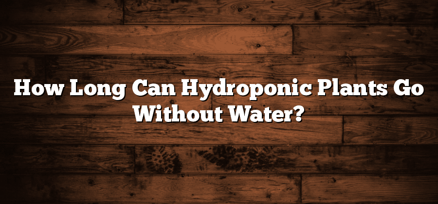 How Long Can Hydroponic Plants Go Without Water?