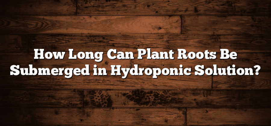 How Long Can Plant Roots Be Submerged in Hydroponic Solution?