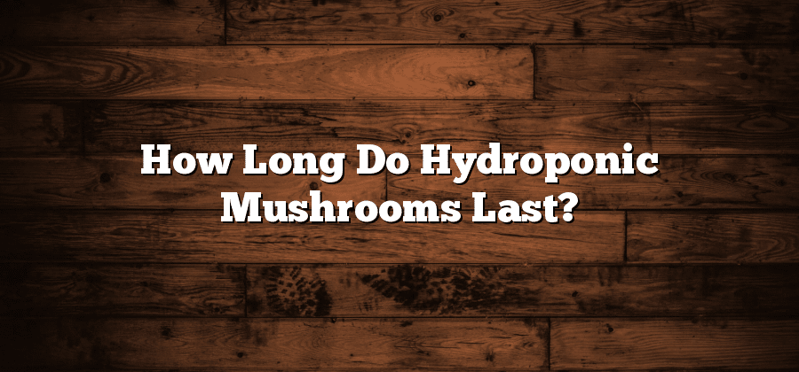 How Long Do Hydroponic Mushrooms Last?