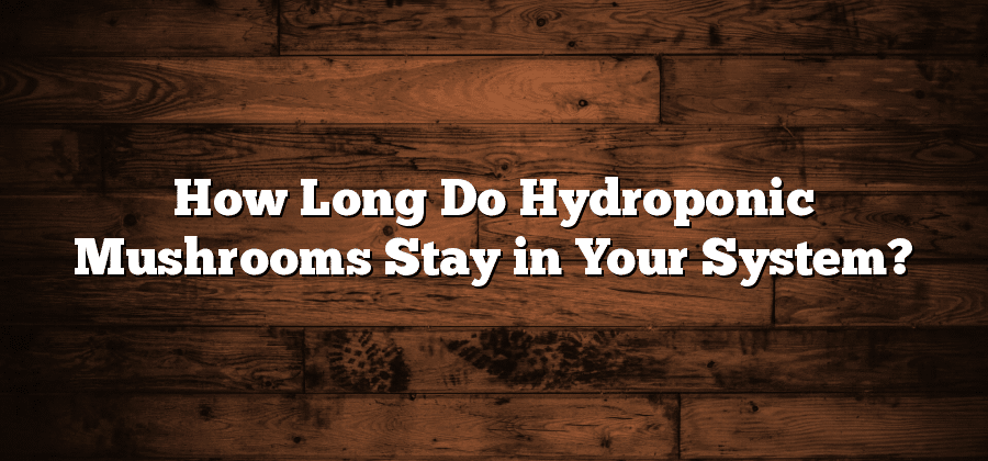 How Long Do Hydroponic Mushrooms Stay in Your System?