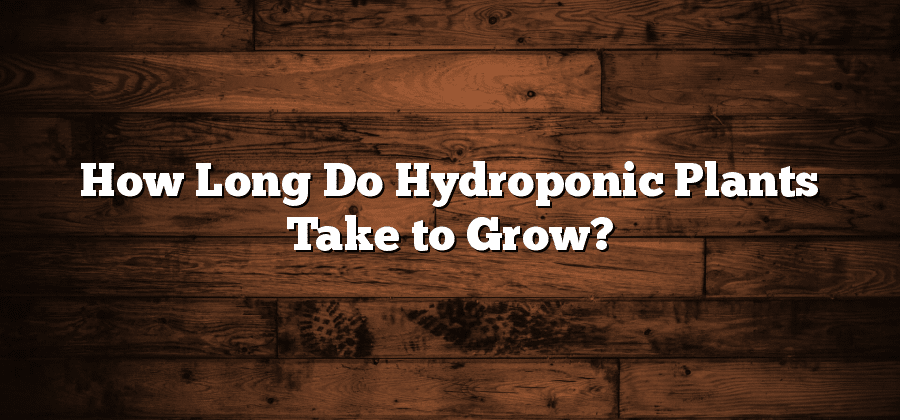 How Long Do Hydroponic Plants Take to Grow?