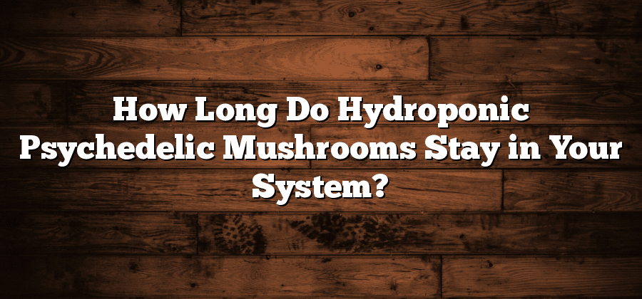 How Long Do Hydroponic Psychedelic Mushrooms Stay in Your System?