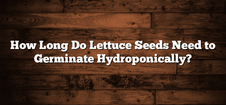 How Long Do Lettuce Seeds Need to Germinate Hydroponically?
