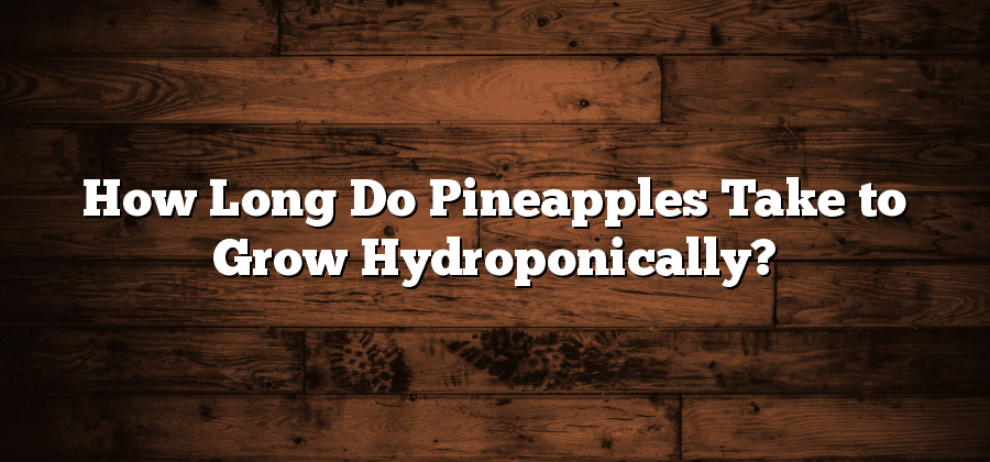 How Long Do Pineapples Take to Grow Hydroponically?