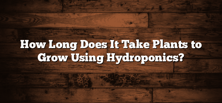 How Long Does It Take Plants to Grow Using Hydroponics?