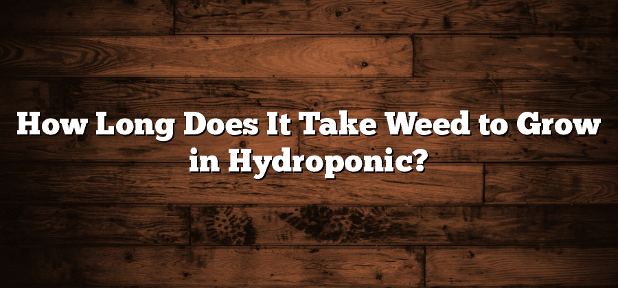 How Long Does It Take Weed to Grow in Hydroponic?
