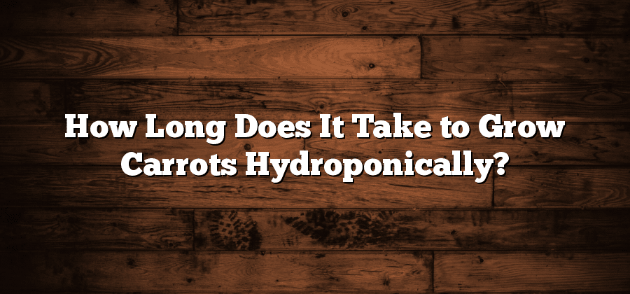 How Long Does It Take to Grow Carrots Hydroponically?