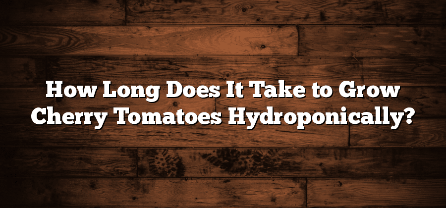 How Long Does It Take to Grow Cherry Tomatoes Hydroponically?