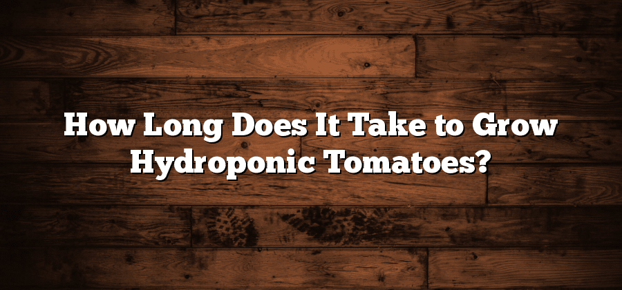 How Long Does It Take to Grow Hydroponic Tomatoes?