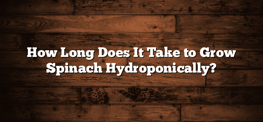 How Long Does It Take to Grow Spinach Hydroponically?