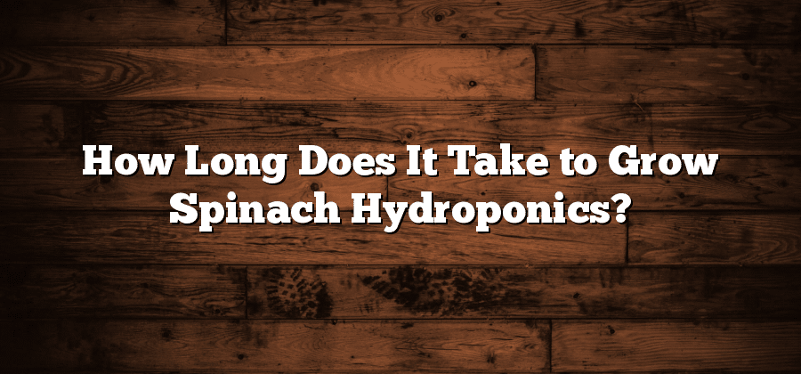 How Long Does It Take to Grow Spinach Hydroponics?
