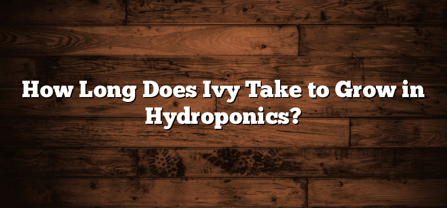 How Long Does Ivy Take to Grow in Hydroponics?