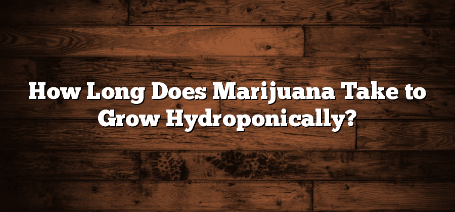 How Long Does Marijuana Take to Grow Hydroponically?
