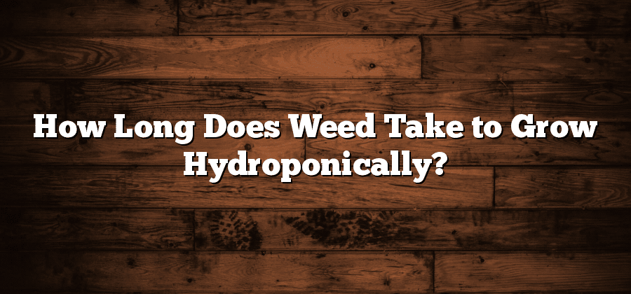 How Long Does Weed Take to Grow Hydroponically?