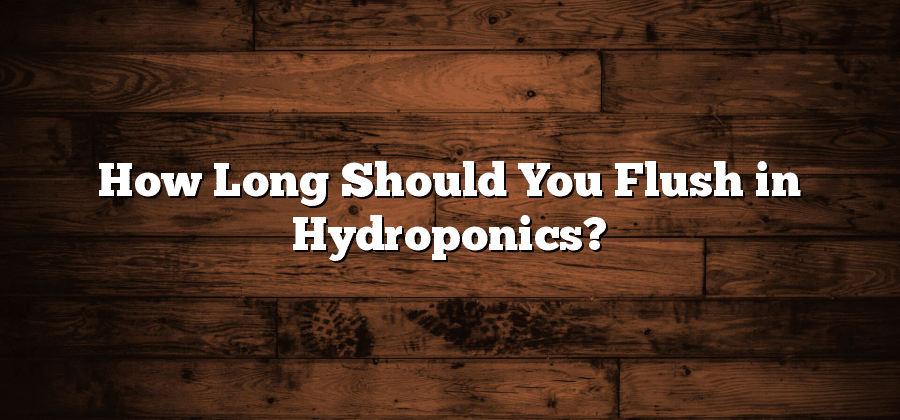 How Long Should You Flush in Hydroponics?
