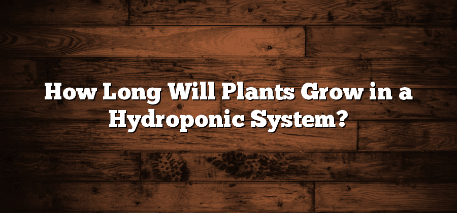 How Long Will Plants Grow in a Hydroponic System?