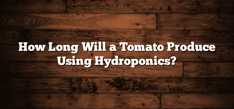 How Long Will a Tomato Produce Using Hydroponics?