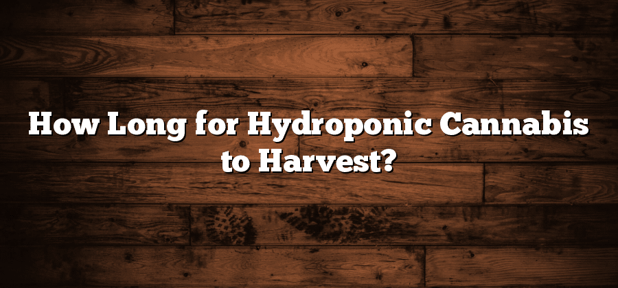 How Long for Hydroponic Cannabis to Harvest?