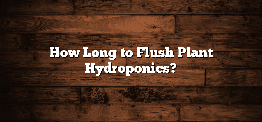 How Long to Flush Plant Hydroponics?