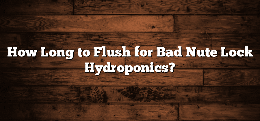 How Long to Flush for Bad Nute Lock Hydroponics?