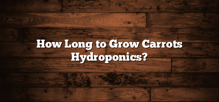 How Long to Grow Carrots Hydroponics?
