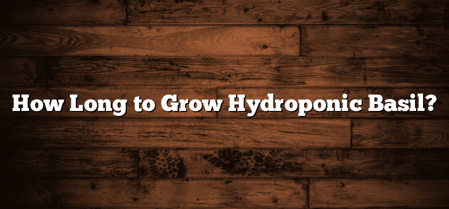How Long to Grow Hydroponic Basil?