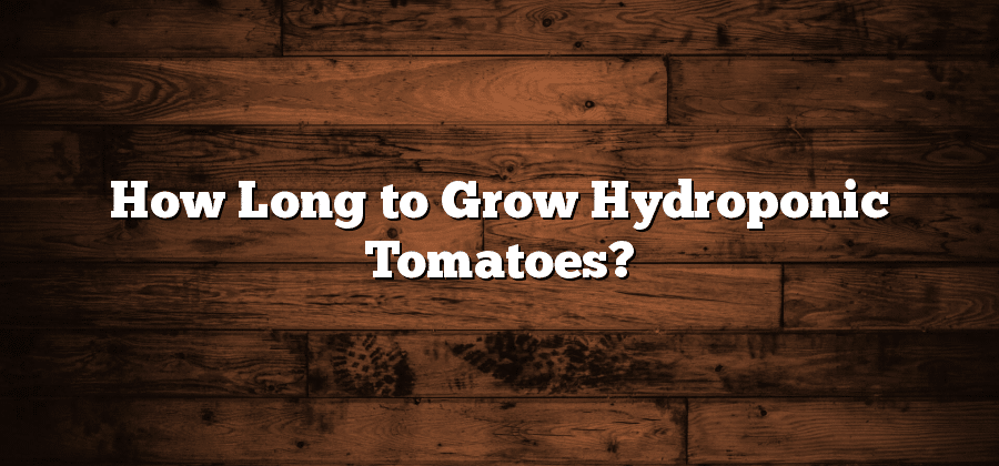 How Long to Grow Hydroponic Tomatoes?