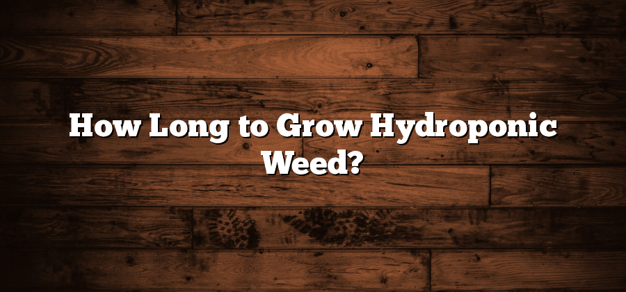 How Long to Grow Hydroponic Weed?
