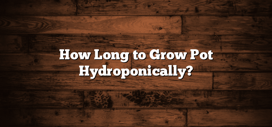 How Long to Grow Pot Hydroponically?