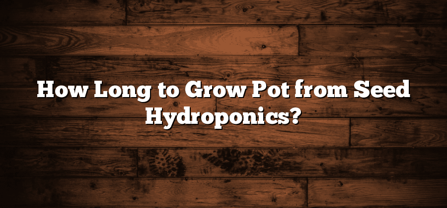 How Long to Grow Pot from Seed Hydroponics?