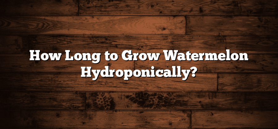 How Long to Grow Watermelon Hydroponically?