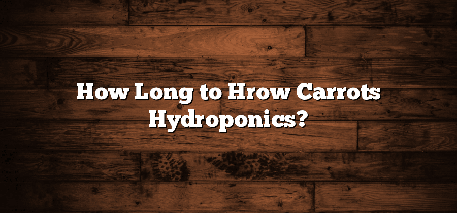 How Long to Hrow Carrots Hydroponics?