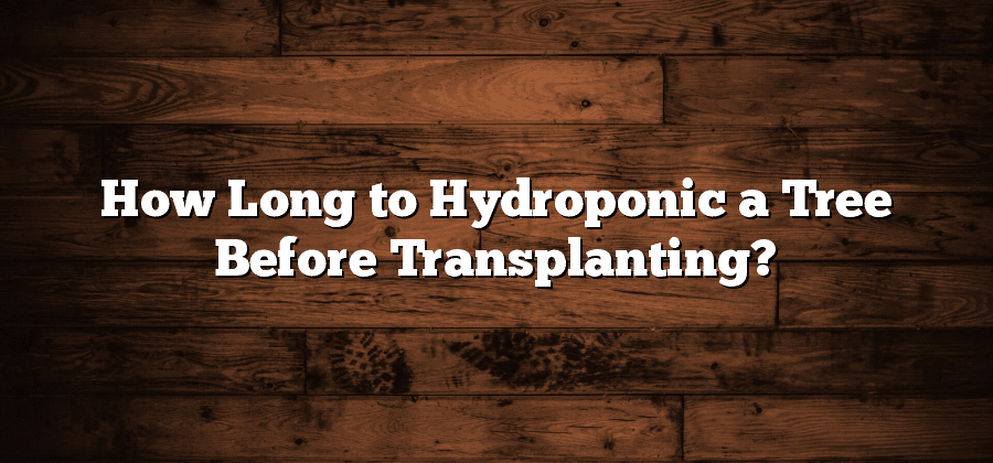 How Long to Hydroponic a Tree Before Transplanting?
