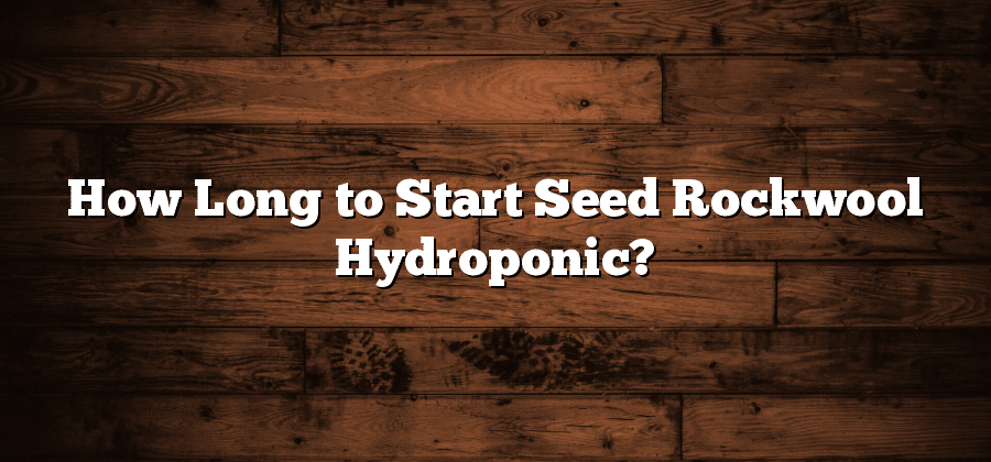 How Long to Start Seed Rockwool Hydroponic?